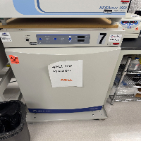 Fisher Scientific Isotemp Incubator image 0